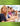 Microsoft 365 Excel Associate