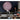 Life-Style Image for Epson DC-21 Document Camera