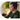 Alternate-Image3 Image for Jabra Engage 50 II Headset