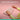 Alternate-Image1 Image for Logitech Wave Keys & Lift Vertical Mouse - Ergonomic Wireless Keyboard and Mouse Combo - with Cushioned Palm Rest (Rose)