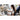 Alternate-Image16 Image for Microsoft Surface Pro (12th Edition) Copilot+ PC Tablet - 13" - vPro Technology - 64 GB - 1 TB SSD - Windows 11 Pro - 5G - Platinum