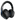 ThinkWrite REVO Wireless Headphones with Noise-Reducing Mic (On Sale!)